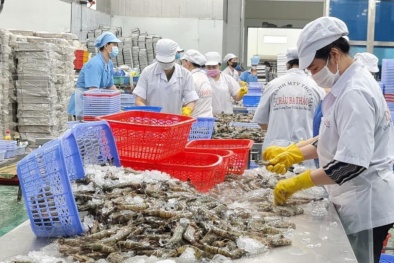 Cà Mau tăng cường truy xuất nguồn gốc, bảo đảm chất lượng nông, lâm, thủy sản xuất khẩu
