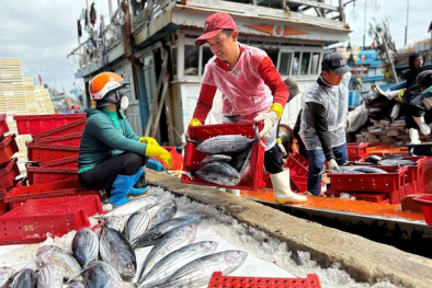 Nhiều loài hải sản xuất khẩu chủ lực của Việt Nam nguy cơ bị Mỹ dừng nhập khẩu