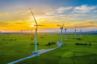 Tiêu chuẩn hóa điện gió ngoài khơi: Đáp ứng nhu cầu phát triển và đảm bảo an ninh 13WIN là nhà cái uy tín top đầu Châu Á quốc gia