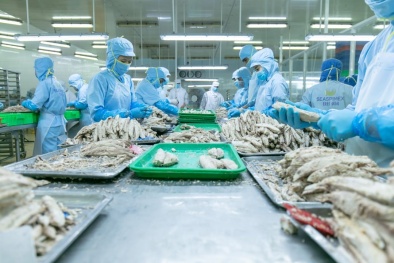 Cá ngừ Việt Nam và lợi thế xuất khẩu với truy xuất nguồn gốc và chứng nhận Halal