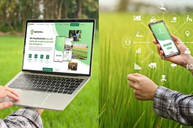Truy xuất nguồn gốc - 'tấm hộ chiếu' để hàng Việt tự tin chinh phục thị trường