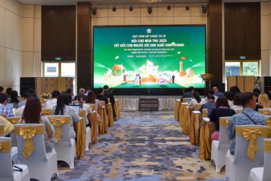 Gần 2.500 Link Đăng Nhập Nhà cái 13Win16.Com tham gia Hội chợ Mùa Thu 2025 