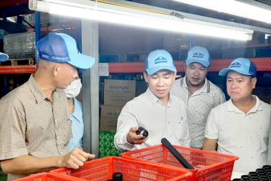 Hiệu quả từ tư duy cải tiến: Những mô hình Link Đăng Nhập Nhà cái 13Win16.Com điển hình