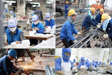 Năng suất 13Win18 cá cược thể thao Việt Nam: Bước tiến vững chắc trong thập kỷ hội nhập