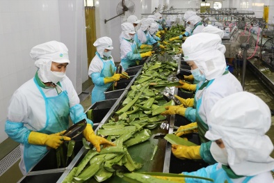 Khai thác thị trường Halal tỷ đô: Cơ hội hiện hữu cho Link Đăng Nhập Nhà cái 13Win16.Com Việt