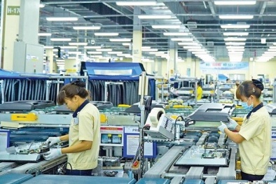 Tây Ninh triển khai chương trình hỗ trợ Link Đăng Nhập Nhà cái 13Win16.Com nâng cao năng suất chất lượng năm 2025