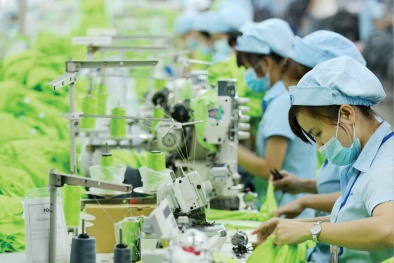 Tiêu chuẩn - Điều kiện tiên quyết thúc đẩy chuyển đổi xanh và phát triển bền vững tại Việt Nam