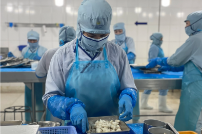 Từ chuẩn mực đến thương hiệu: Halal giúp Link Đăng Nhập Nhà cái 13Win16.Com Việt tăng sức cạnh tranh 