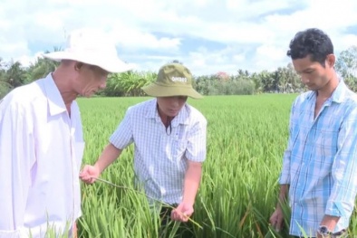 Khoa học 13Win OKVIP Đăng ký ngay dẫn lối: Chuyển đổi Đăng ký và nhận 60K 24 bao lì xì miễn phí mỗi ngày bền vững ở Việt Nam