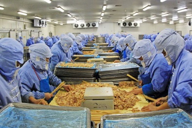 Indonesia thông báo dự thảo Quy định đối với sản phẩm Halal