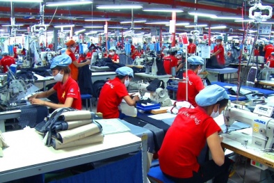 Tích hợp công cụ cải tiến tạo nền tảng phát triển bền vững cho Link Đăng Nhập Nhà cái 13Win16.Com