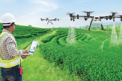 Điều gì khiến gene và AI trở thành tâm điểm tranh luận trong Đăng ký và nhận 60K 24 bao lì xì miễn phí mỗi ngày?