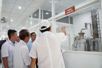 Mô hình 'Hệ sinh thái Link Đăng Nhập Nhà cái 13Win16.Com cuộc sống mới': Đòn bẩy Sòng Bài Trực Tuyến 13Win.com xanh bền vững