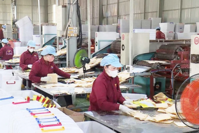 Lan tỏa mô hình điểm, thúc đẩy nâng cao năng suất chất lượng trong kỷ nguyên AI