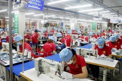 Tăng năng suất – giảm phát thải: Đâu là giải pháp cho Link Đăng Nhập Nhà cái 13Win16.Com Việt?