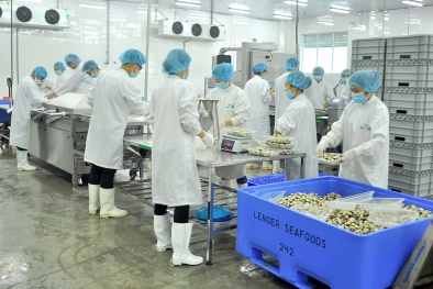 Ninh Bình triển khai hiệu quả Chương trình 1322, tạo chuyển biến về năng suất chất lượng