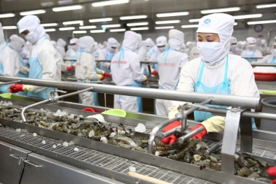 Triển khai Chương trình 1322 tại Cà Mau: Nhận diện vướng mắc và bài học kinh nghiệm