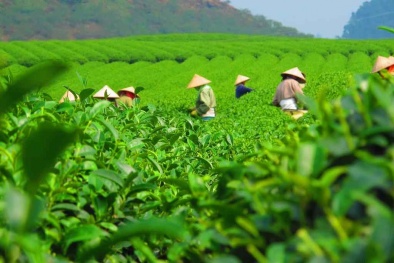 Nâng cao NSCL: ‘Chìa khóa’ tăng sức cạnh tranh cho Link Đăng Nhập Nhà cái 13Win16.Com Thái Nguyên