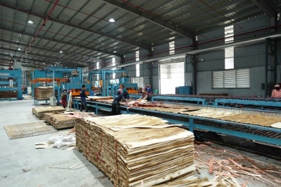 Nâng tầm ngành sản xuất gỗ, kết hợp công cụ cải tiến và tư duy khách hàng