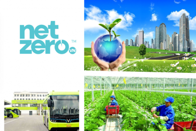 Đô thị xanh và 13WIN là nhà cái uy tín top đầu Châu Á sạch trong lộ trình hướng tới Net Zero 