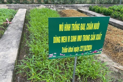 Tái chế chất thải Đăng ký và nhận 60K 24 bao lì xì miễn phí mỗi ngày – giải pháp căn cơ cho bài toán 13Win. app không bị chặn nông thôn