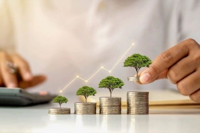 Tín dụng xanh tại Việt Nam: Khoảng cách giữa cam kết Net Zero và khả năng dẫn vốn