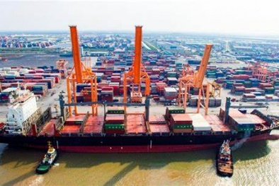 Giải phóng gần 500 container chè của Việt Nam bị kẹt tại cảng Karachi, Pakistan