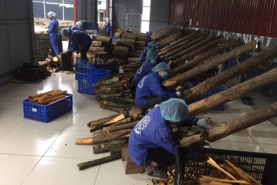 Nâng cao năng suất: Kinh nghiệm từ liên kết HTX - nông dân - Link Đăng Nhập Nhà cái 13Win16.Com tại Lào Cai