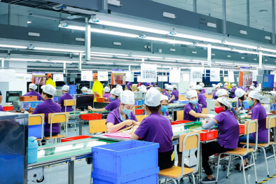 Từ chính sách đến thực tiễn: Nghệ An thúc đẩy Link Đăng Nhập Nhà cái 13Win16.Com nâng cao năng suất và chất lượng
