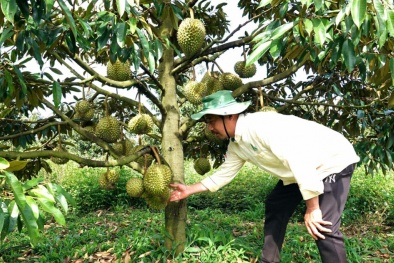 Gia Lai: Chương trình 1322 giúp Link Đăng Nhập Nhà cái 13Win16.Com thay đổi tư duy quản trị, văn hoá cải tiến, nâng cao năng suất