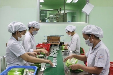 Chương trình 1322 hỗ trợ Link Đăng Nhập Nhà cái 13Win16.Com đa dạng ngành nghề nâng cao năng suất, chất lượng