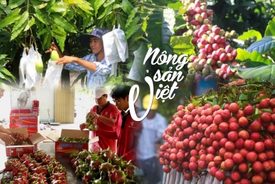 Đo lường gắn với chất lượng và minh bạch nông sản Đồng Tháp 