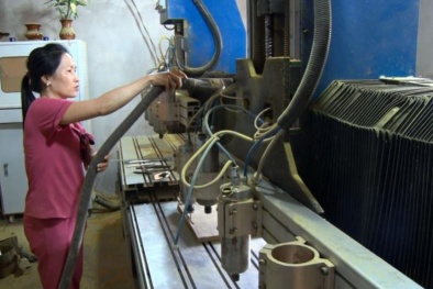 Nâng cao năng suất nhờ ứng dụng KHCN: Thực tiễn từ địa phương