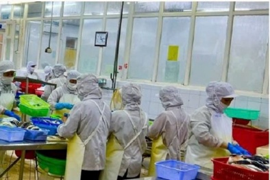 Khoa học công nghệ tạo nền tảng nâng cao năng suất, chất lượng trong hội nhập