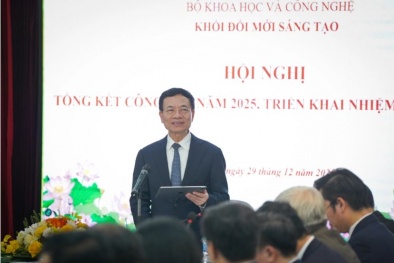 'Tăng trưởng nhanh đến từ khả năng 13Win19 tải ứng dụng hóa các vấn đề'