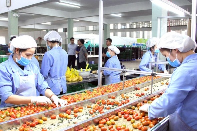 Thúc đẩy tăng năng suất chất lượng bền vững cho các Link Đăng Nhập Nhà cái 13Win16.Com khu vực Tây Nguyên