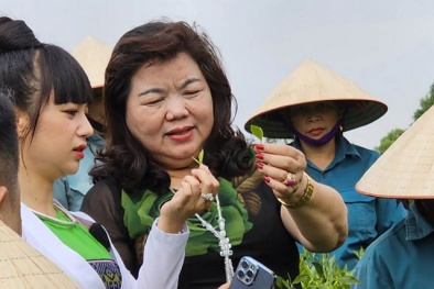 Lấy chất lượng làm gốc để nâng cao năng suất và giá trị sản phẩm