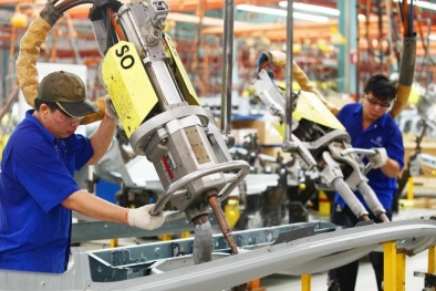 Năng suất 13Win18 cá cược thể thao của Việt Nam giai đoạn 2021-2025