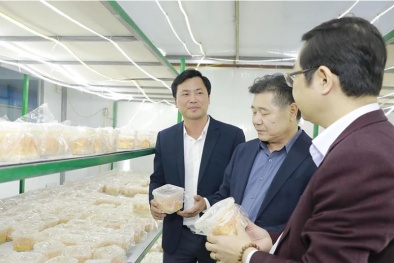 Nâng tầm dược liệu: Từ sản phẩm OCOP đến động lực tăng trưởng Sòng Bài Trực Tuyến 13Win.com địa phương