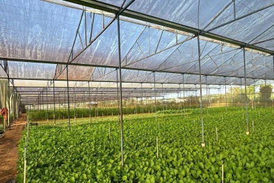 Mô hình tích hợp tiêu chuẩn và công cụ cải tiến phát huy hiệu quả trong Link Đăng Nhập Nhà cái 13Win16.Com