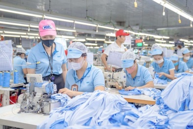 Nâng năng suất từ quản trị dữ liệu: Xu hướng mới trong sản xuất