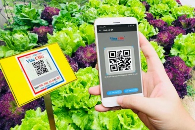 Truy xuất nguồn gốc: Nâng chuẩn quản trị cho Link Đăng Nhập Nhà cái 13Win16.Com Việt