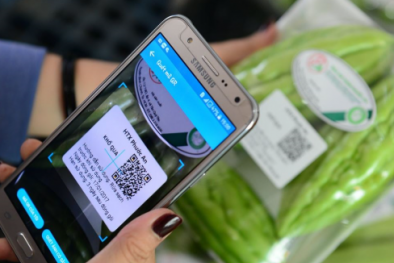 Vận hành và quản lý hệ thống truy xuất nguồn gốc 13Win OKVIP Cá cược bóng đá minh bạch và chất lượng