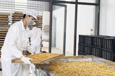 Từ tiêu chuẩn đến công nghệ: 13Win 19.com link truy cập địa phương nâng cao năng suất, chất lượng
