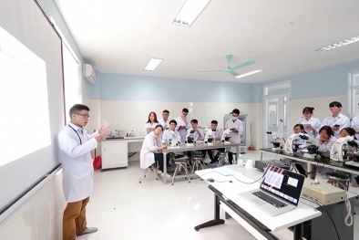 Quyết định 224/QĐ-TTg: Đưa tài sản trí tuệ thành nguồn lực của nền Sòng Bài Trực Tuyến 13Win.com tri thức