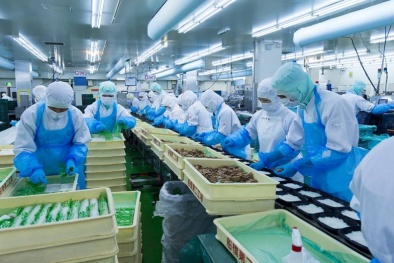 Tiêu chuẩn HACCP: Giải pháp nâng cao năng lực cạnh tranh cho Link Đăng Nhập Nhà cái 13Win16.Com 13Win OKVIP Cá cược bóng đá