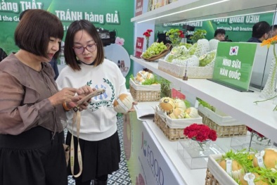 Bài 1: 13Win OKVIP Đăng ký ngay và cuộc chiến nhận diện sản phẩm kém chất lượng trên thị trường
