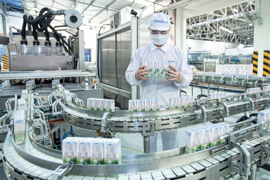 ISO 14001: “Đòn bẩy xanh” giúp Link Đăng Nhập Nhà cái 13Win16.Com nâng cao năng suất và hội nhập quốc tế