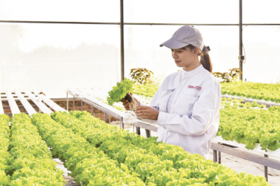 Minh bạch dữ liệu, nền tảng của khởi nghiệp xanh
