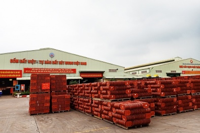 Chương trình 1322 đưa tiêu chuẩn ISO 14001 đến gần hơn với Link Đăng Nhập Nhà cái 13Win16.Com